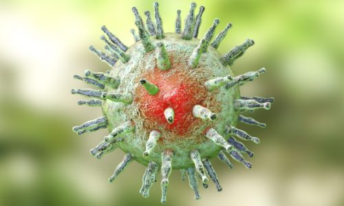 Anti-EBV trial promising for progressive MS