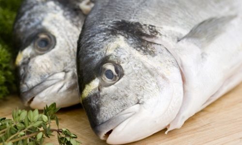 Two fresh sea bream on wooden board with herbs and lemon