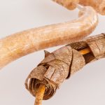 Therapeutic protein shows promise in regenerating nerve fibres and myelin repair